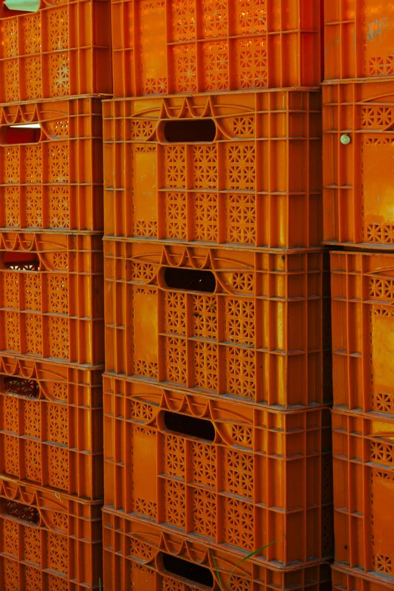 Mẹo Bảo Quản Trái Cây Tươi Lâu Hơn Trong Tủ Lạnh Nhà Bếp