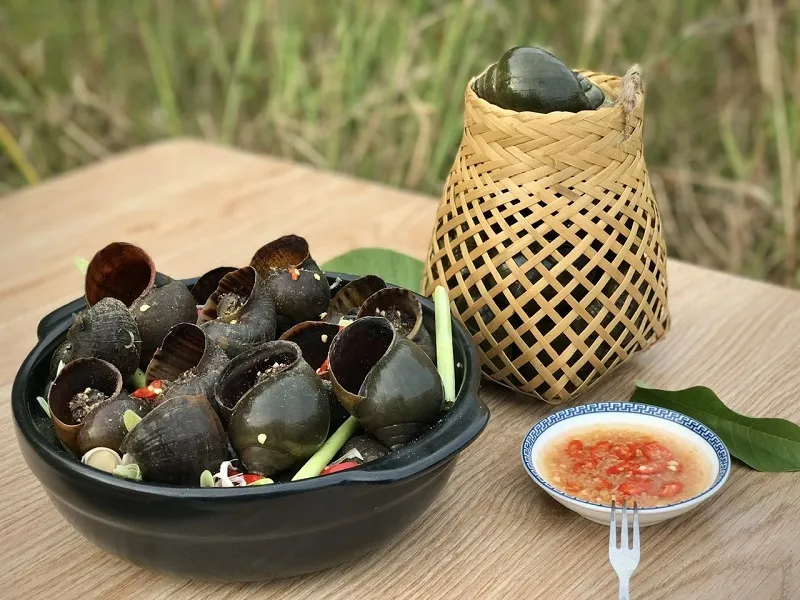 Ốc Gác Bếp