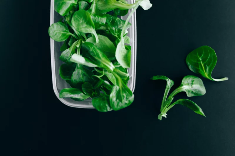 Close-up of fresh green salad leaves in a plastic container on a black background.