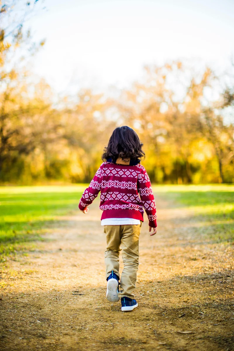 A young child in a sweater walks on a path through a sunlit autumn park, surrounded by colorful leaves.