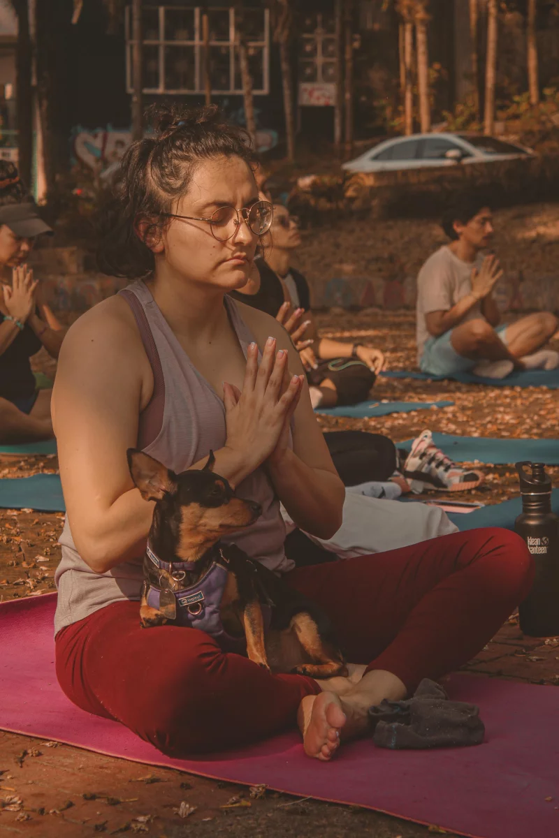 A serene outdoor yoga session with people meditating alongside pets in a park setting.
