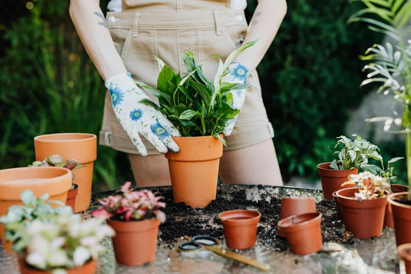 Person planting in clay pots on a sunny day with scattered soil and gardening gloves.
