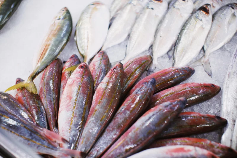 Assortment of fresh fish on ice, perfect for culinary delights and healthy meals.