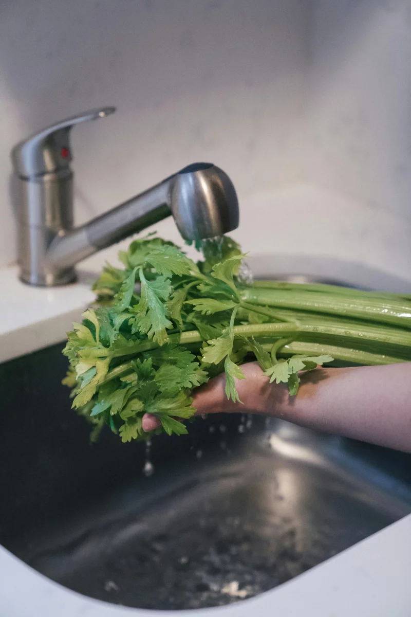 A close-up of fresh celery being rinsed under tap water in a kitchen sink.
