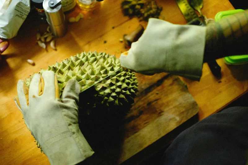 Close-up of gloved hands cutting a durian fruit on a wooden table.