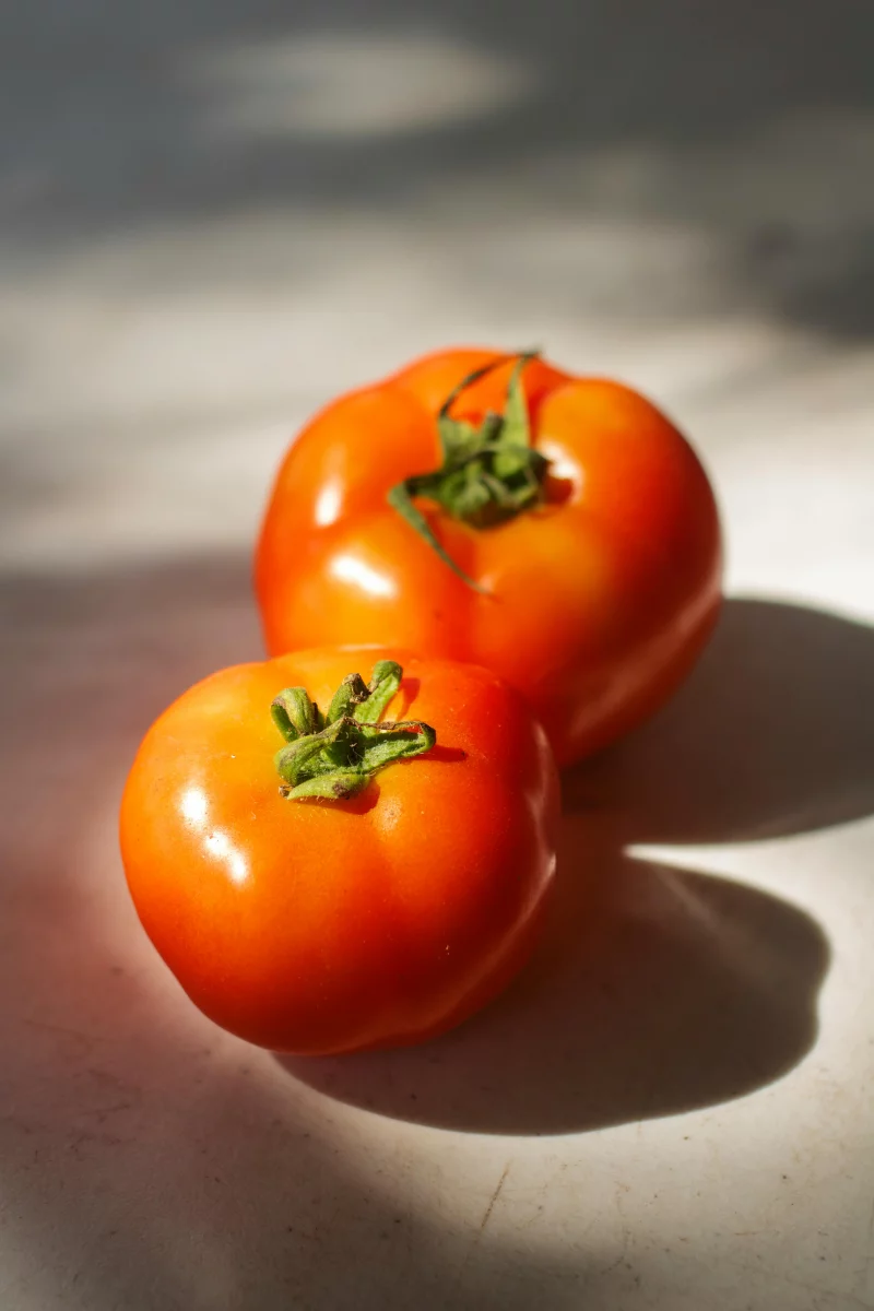 Close-up of vibrant red tomatoes with shadows on a summer table.