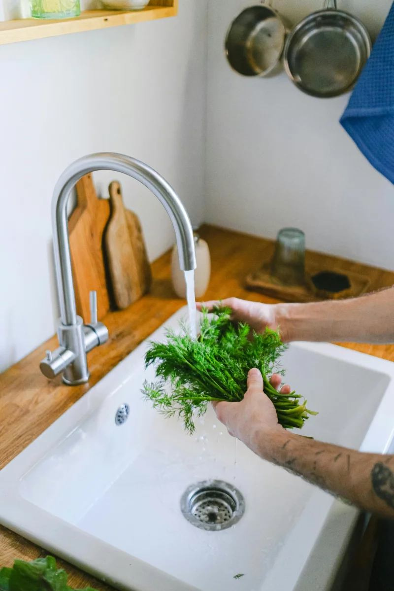 Close-up of hands washing fresh dill in a kitchen sink with running water.