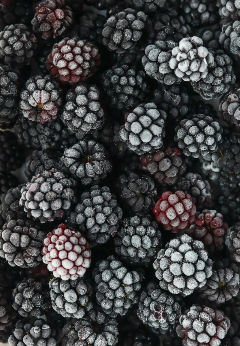 Close-up of fresh frozen blackberries covered in hoarfrost, showcasing texture and freshness.
