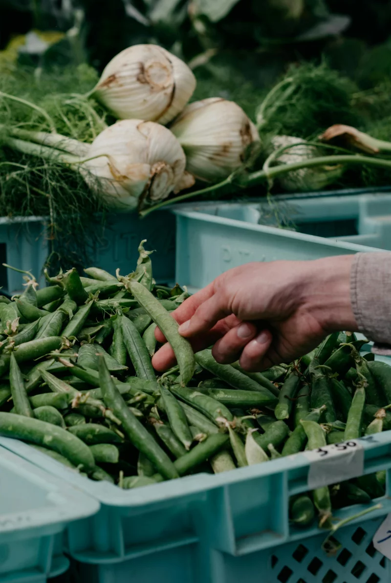 A hand selecting fresh organic vegetables from a farmers market crate.
