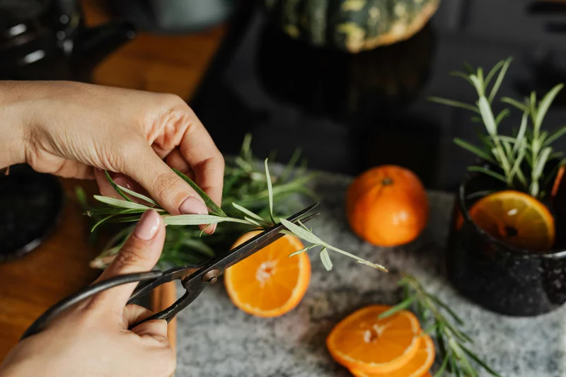Hands preparing fresh ingredients with oranges and herbs on a kitchen counter.