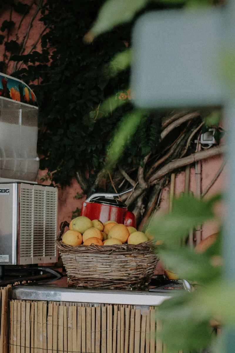 Basket of assorted fruits outdoors, surrounded by greenery and rustic decor.