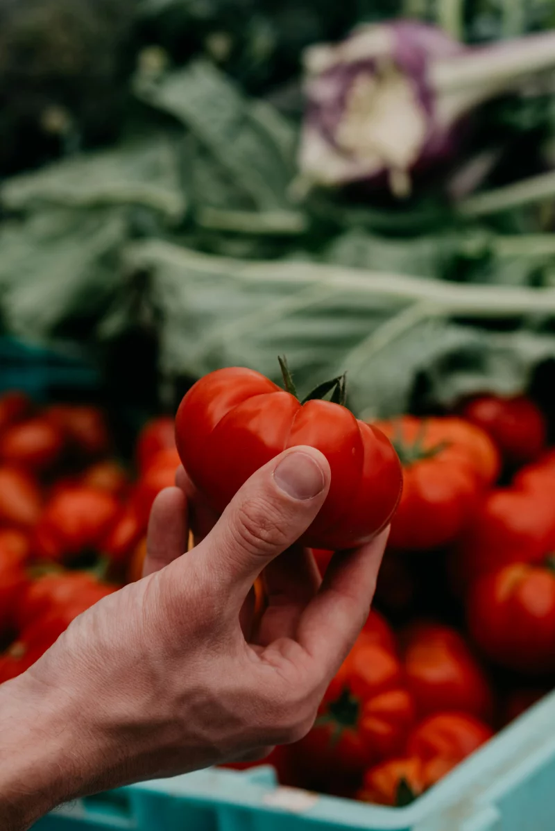 A hand holding a ripe red tomato at a farmers market with a display of fresh produce in the background.