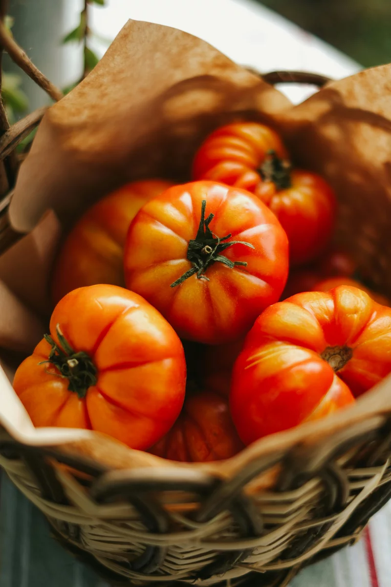 A basket filled with vibrant organic tomatoes captured in natural light, ideal for healthy eating concepts.