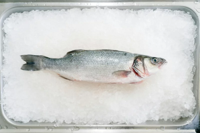 Top view of fresh whole fish placed on ice in a metal container, perfect for seafood concepts.