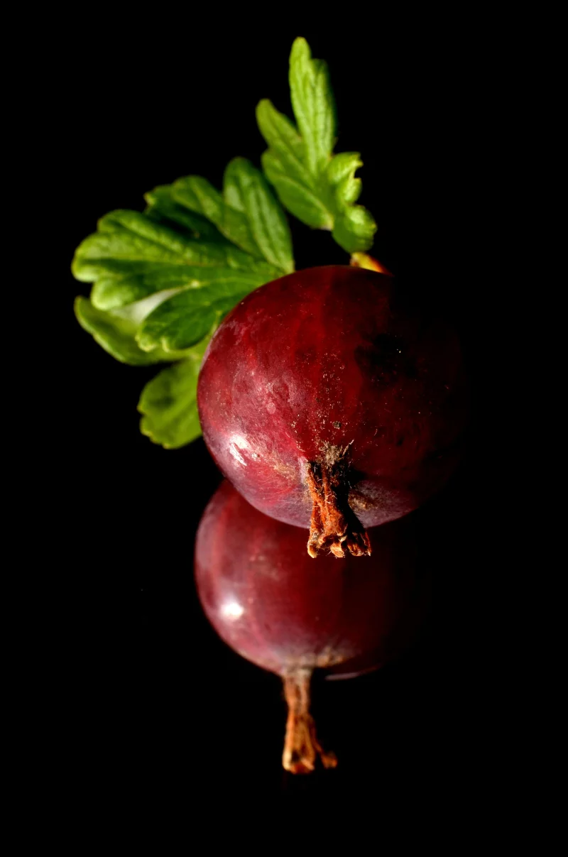Close-up of a ripe gooseberry with leaves on a black reflective surface.