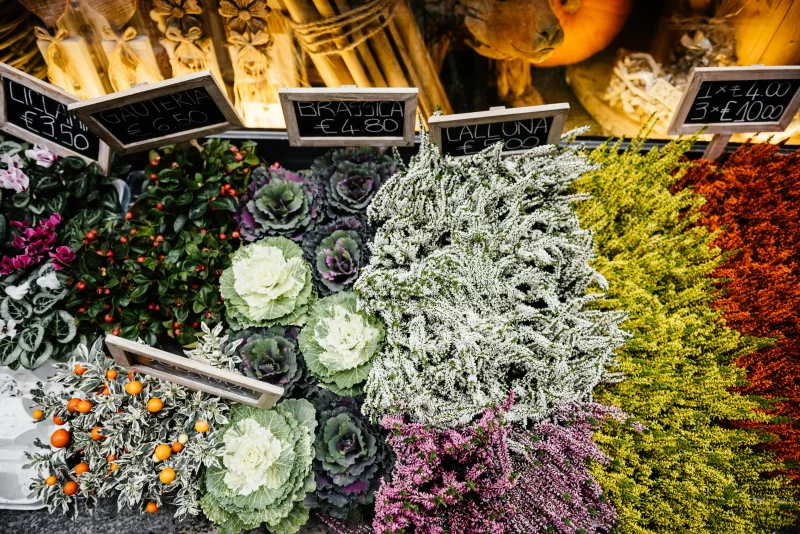 Vibrant display of various flowers at an outdoor market stall, showcasing fall colors.