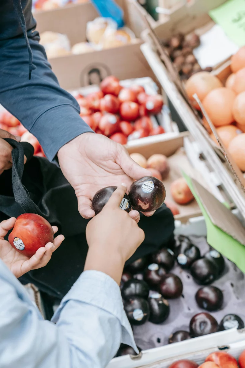 Close-up of hands picking fresh plums at an outdoor market, showcasing healthy, organic produce.