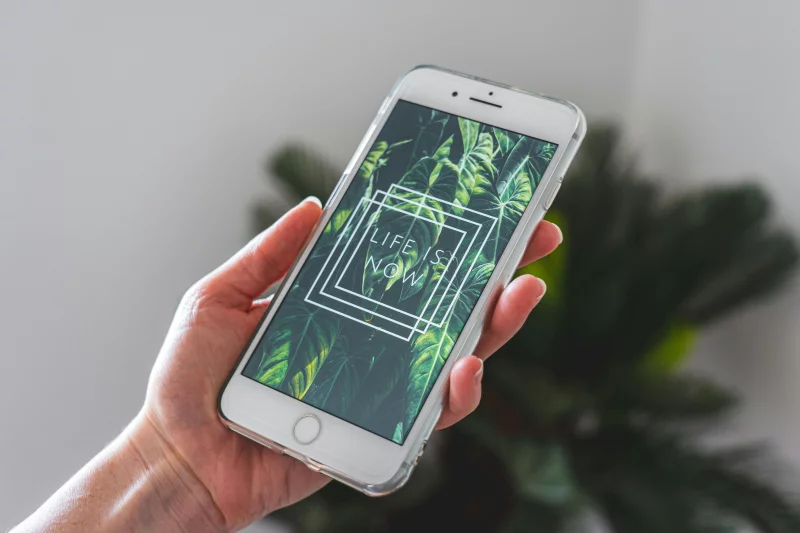 Close-up of a hand holding a smartphone with plant-themed wallpaper and inspirational text.