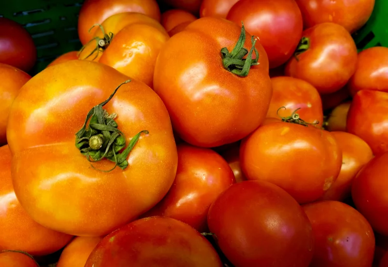 Vibrant fresh tomatoes with stems, ideal for healthy and nutritious cooking.