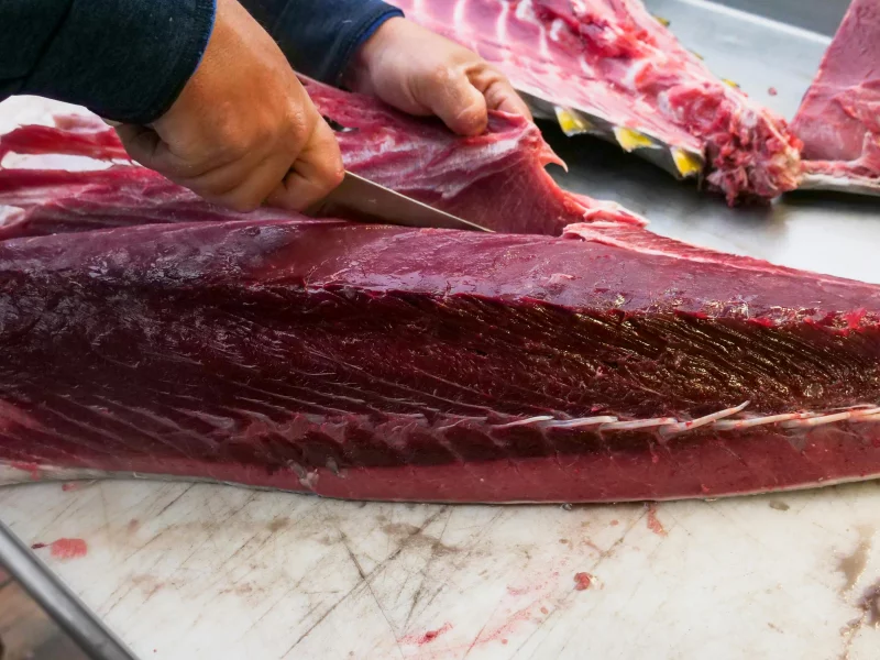 Close-up of a butcher expertly slicing a fresh tuna fillet in a professional setting.