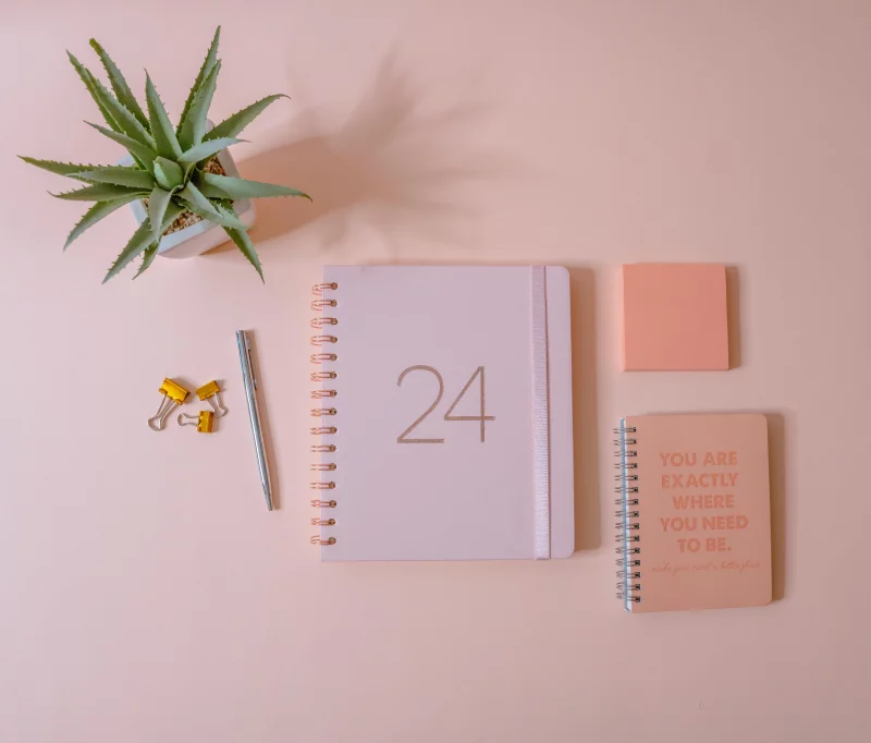 Peach-themed minimalist workspace showing planner, notebook, and aloe plant.