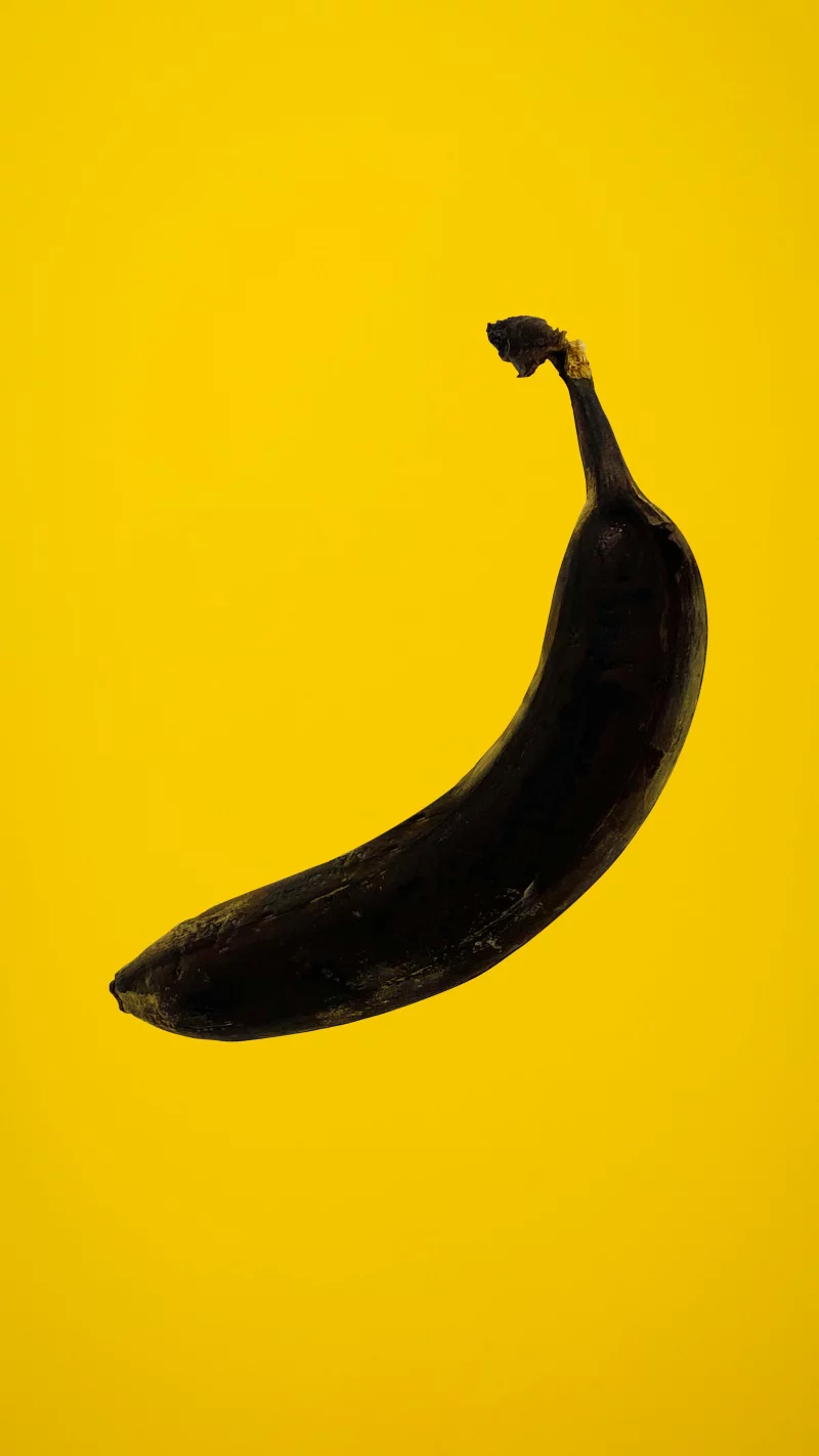 Artistic photo featuring a black banana against a vibrant yellow backdrop.
