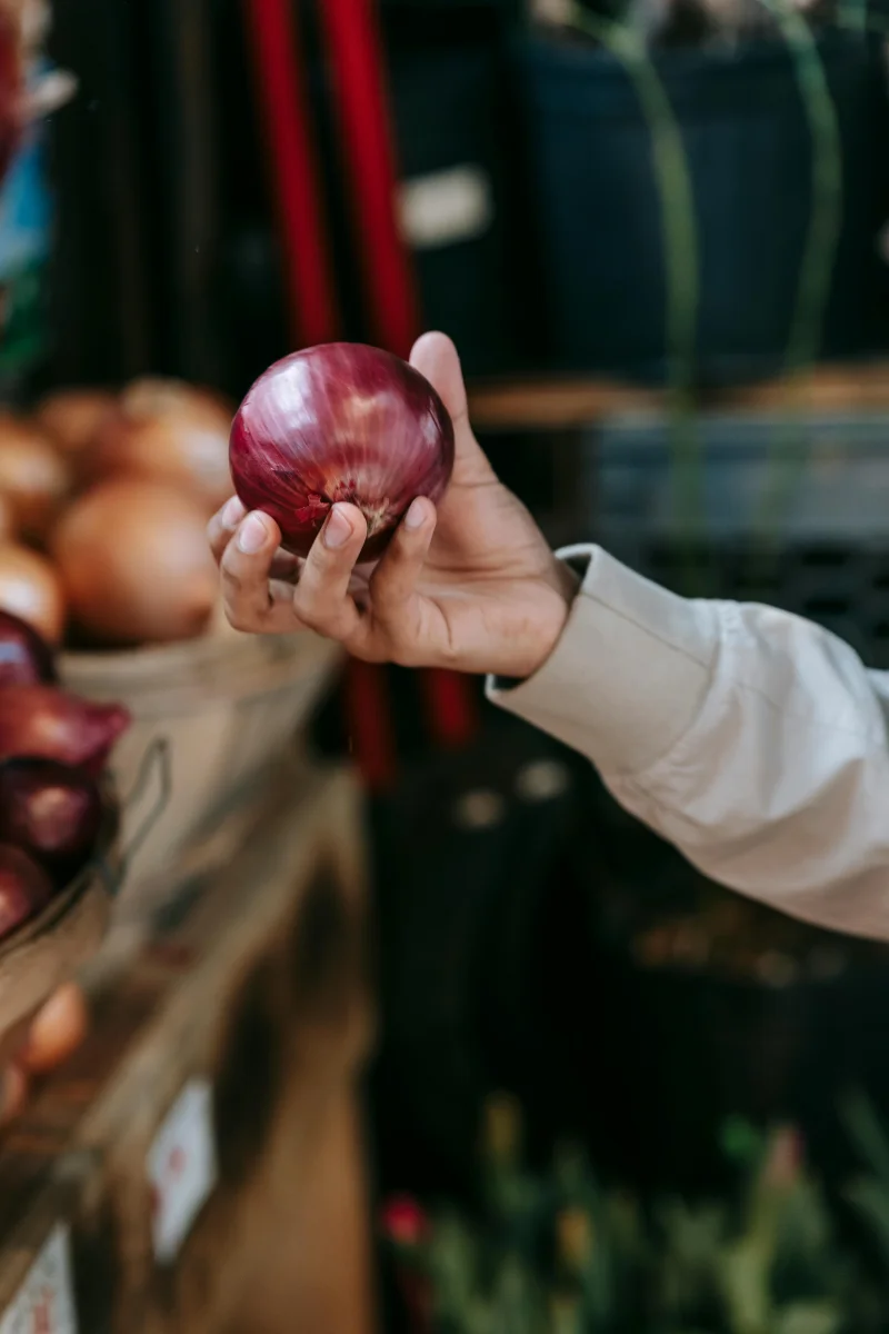 Crop anonymous man holding fresh red onion while choosing vegetables during shopping in grocery market