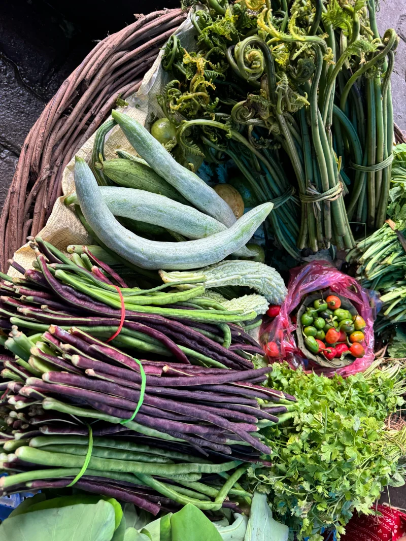A vibrant display of various fresh vegetables in a market basket, showcasing organic produce.