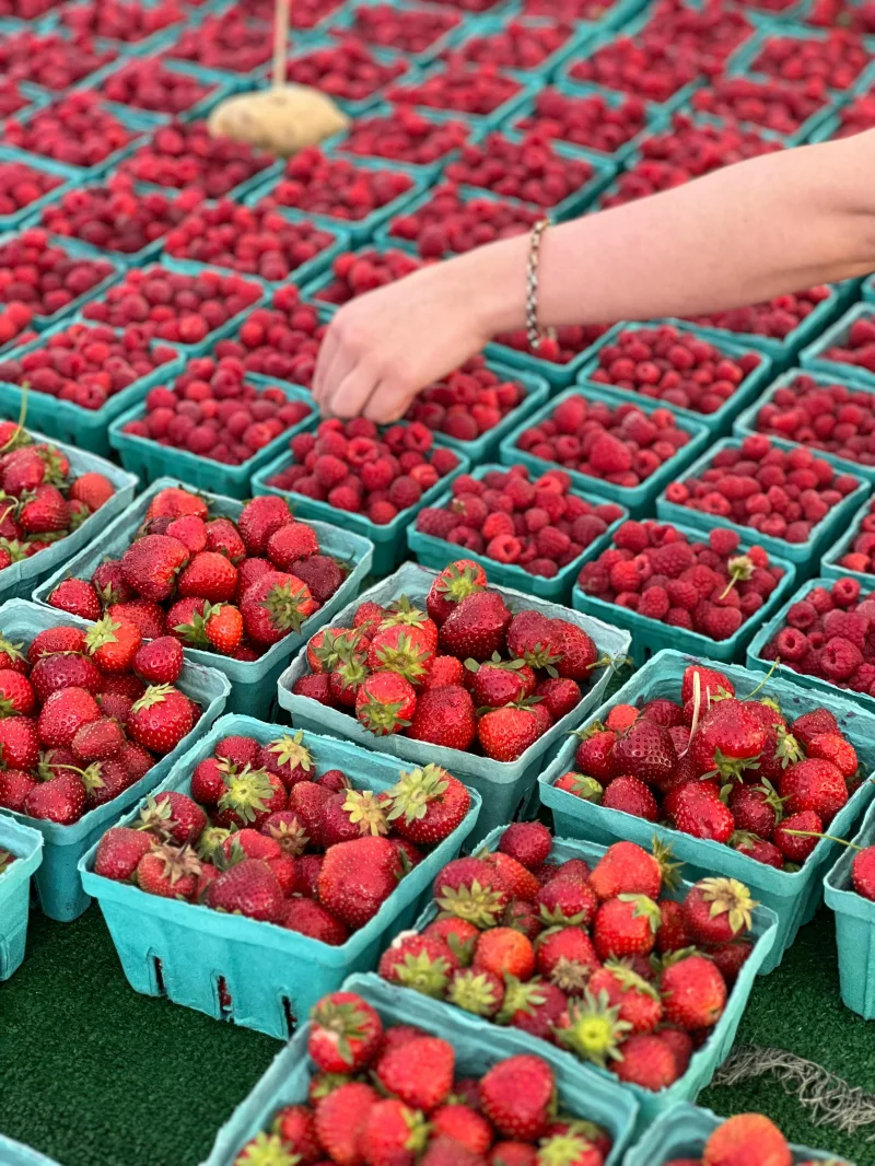 Vibrant strawberries and raspberries in blue baskets at a local farmers market.