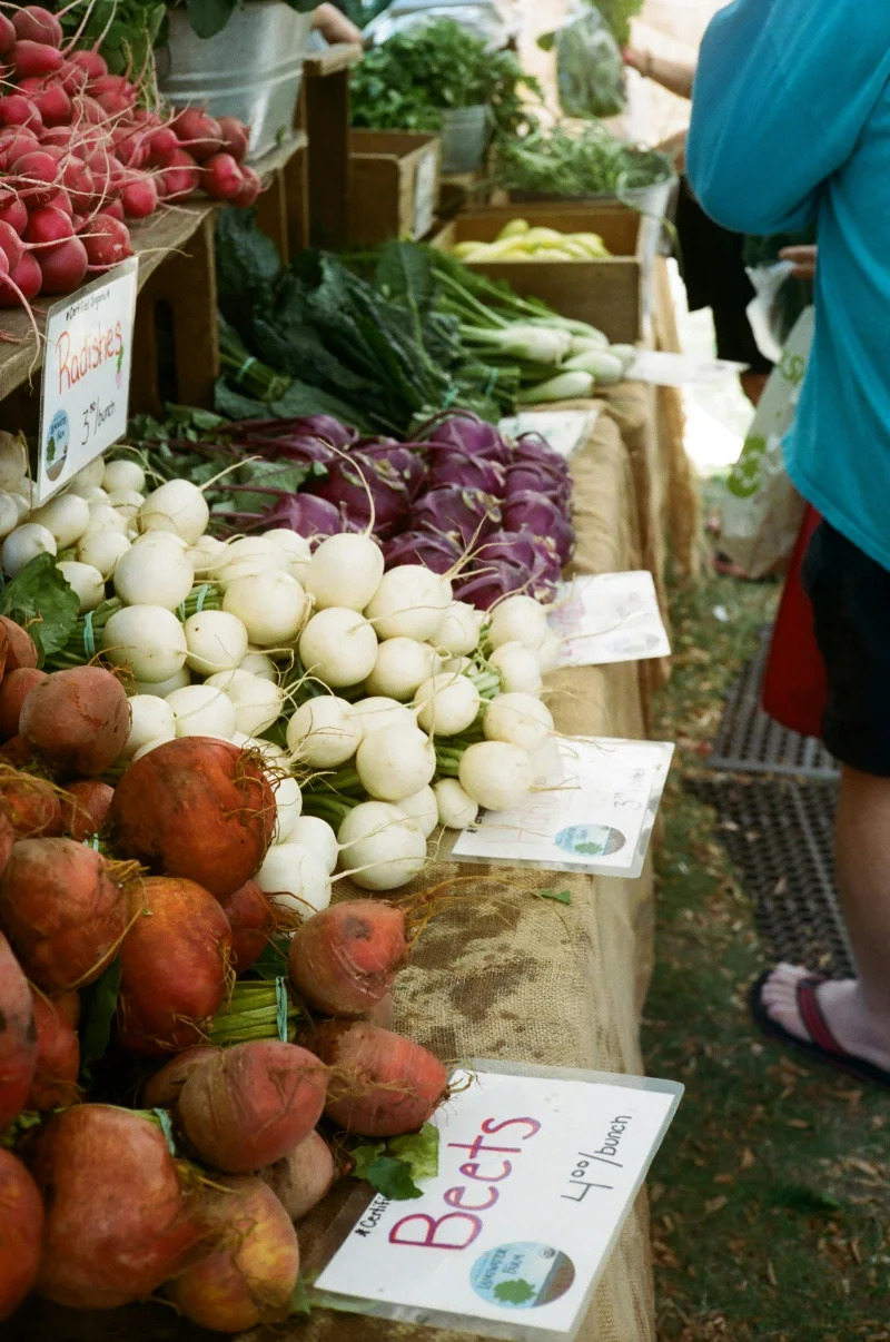 Vibrant display of fresh root vegetables at an outdoor farmers market in Boston.