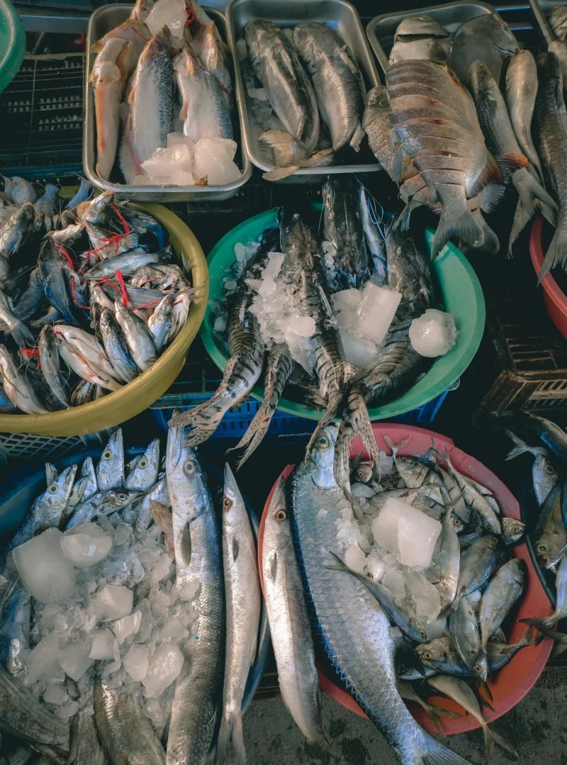 A variety of fresh seafood on ice at a market, showcasing different fish types in containers.