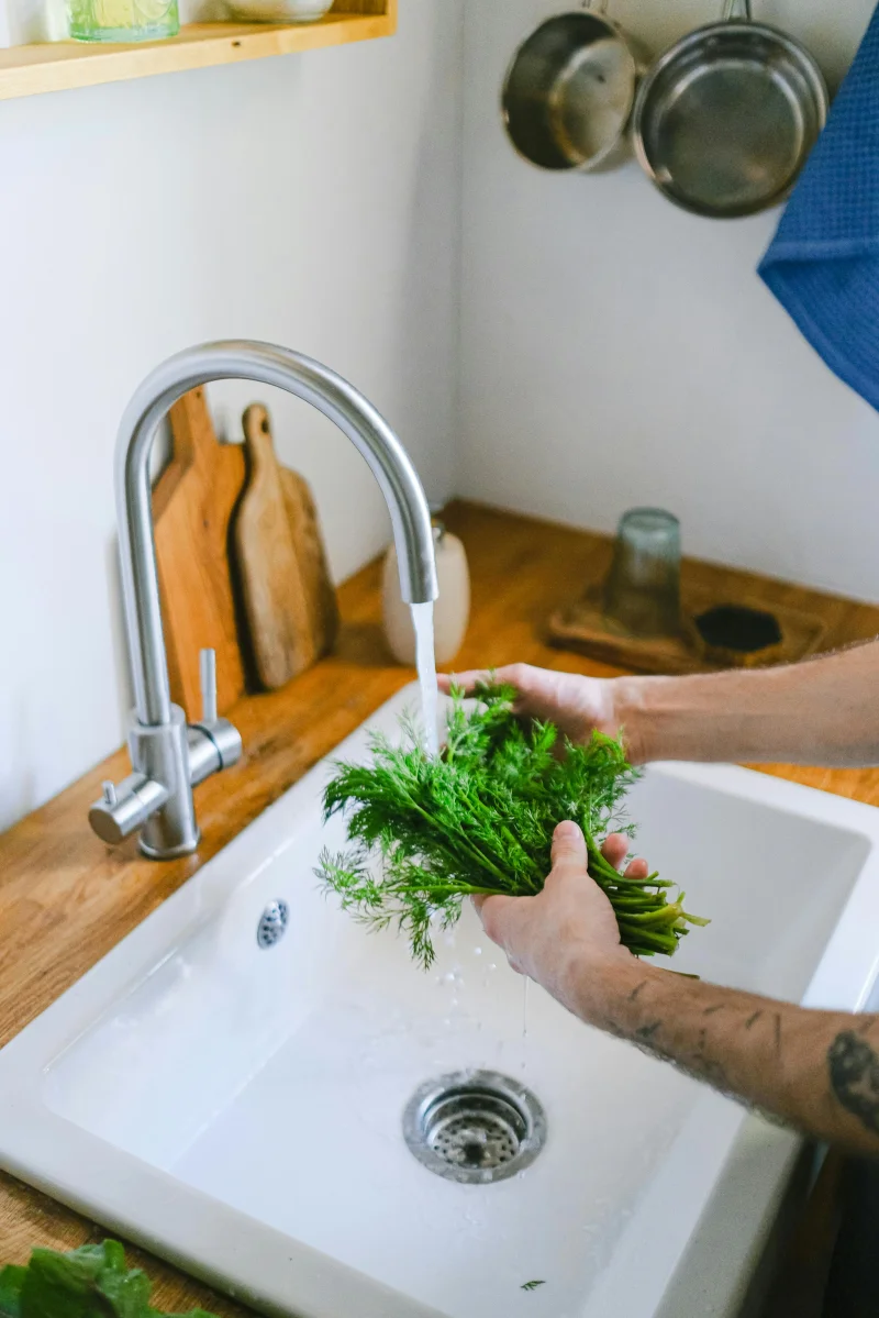 Close-up of hands washing fresh dill in a kitchen sink with running water.