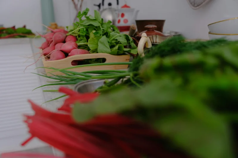 A variety of fresh vegetables including radishes and greens laid out on a kitchen countertop.