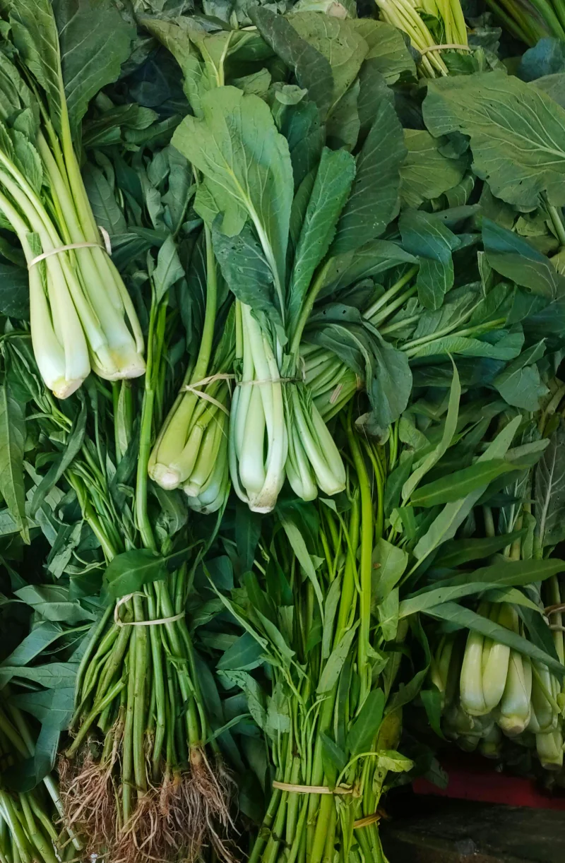 Close-up of fresh komatsuna and leafy greens bundled together for sale at a market.