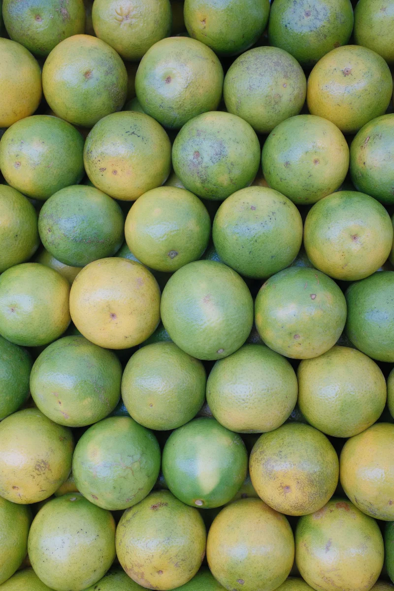 Vibrant green oranges neatly stacked, showcasing fresh produce. Perfect for market or food-themed content.