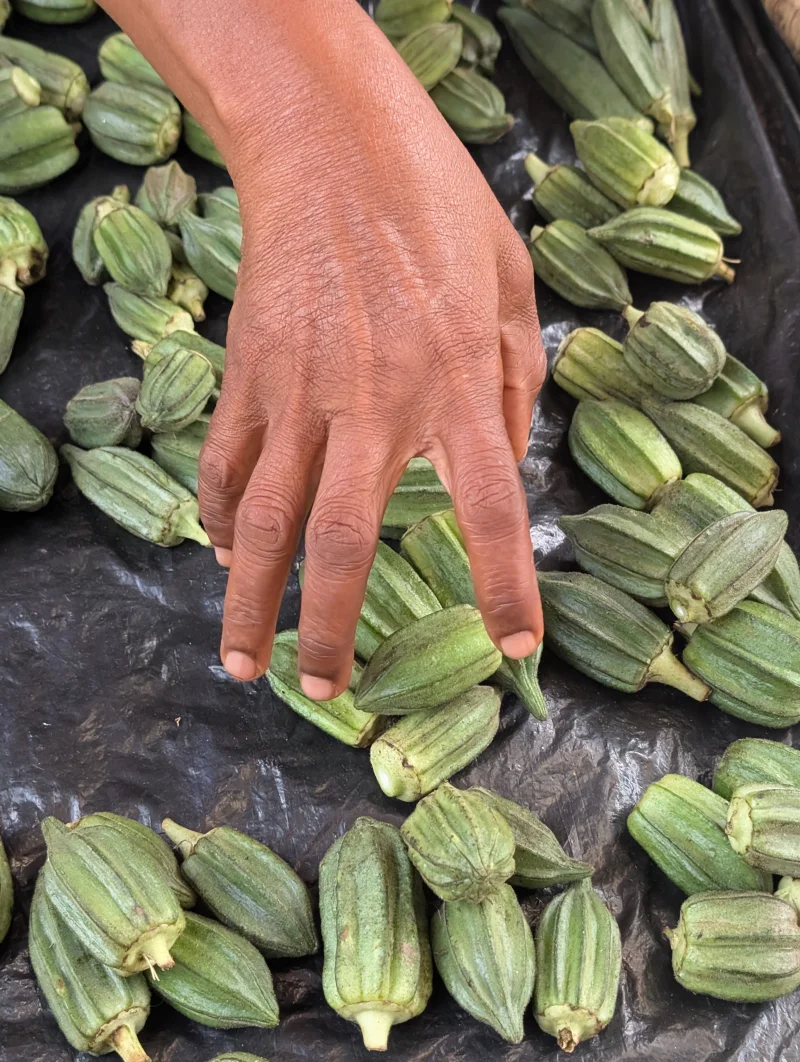 A person selects fresh okra at a market, highlighting organic produce selection.