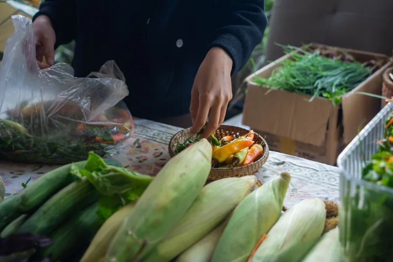 A person selects fresh vegetables at a farmers market stall with diverse produce on display.
