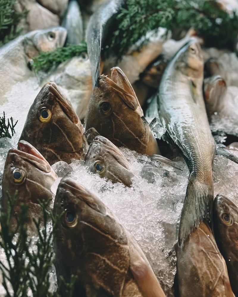 An assortment of fish on ice at a market stall, highlighting freshness in a vertical shot.