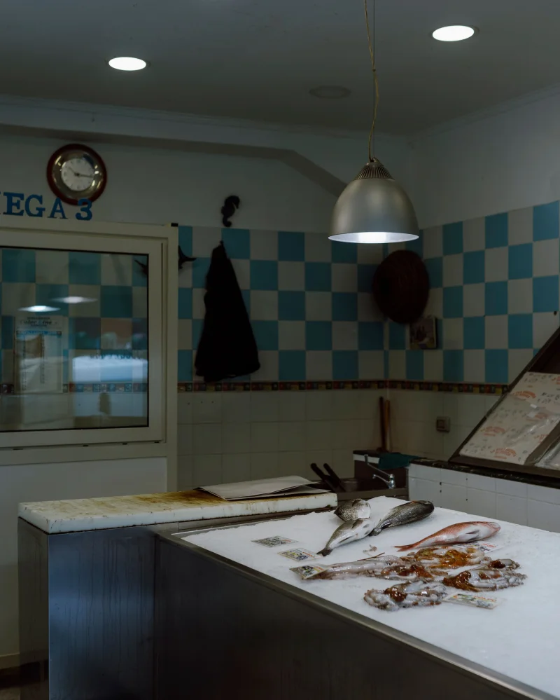 A fish market counter with fresh seafood displayed indoors in Messina, Sicily.