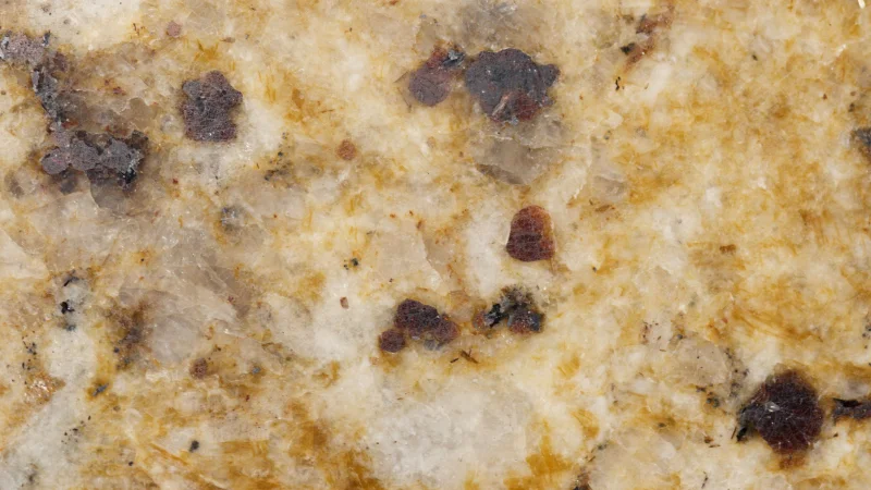 Detailed close-up of a textured granite surface with earthy tones and patterns.