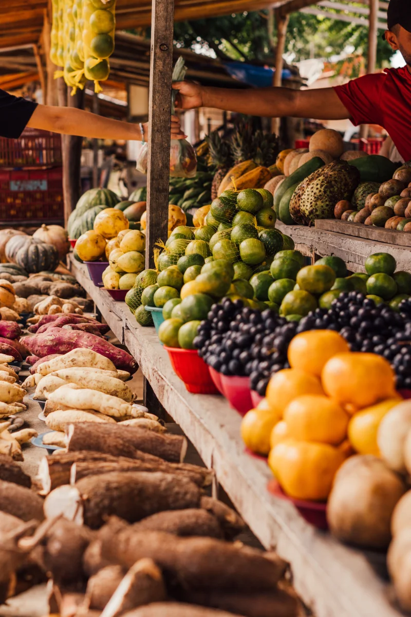 Diverse fruits and vegetables on display at a bustling outdoor market.