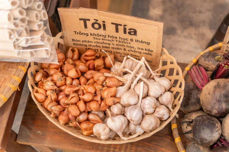 A basket of organic garlic and shallots on display at a market stall, showcasing fresh produce.