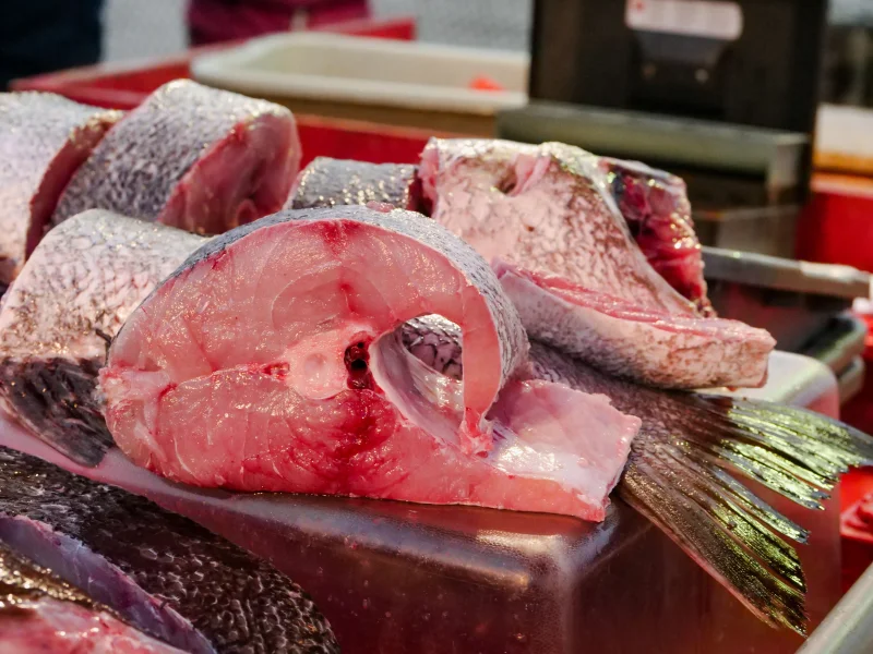 Detailed view of fresh raw fish slices on display at a market showcasing seafood preparation.
