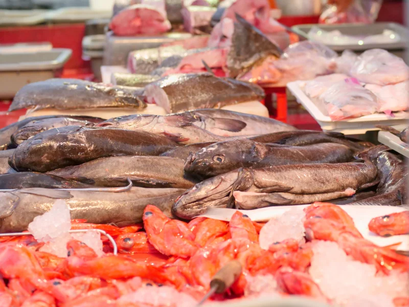 A vibrant display of fresh fish and seafood at a market, with various fish and crustaceans on ice.